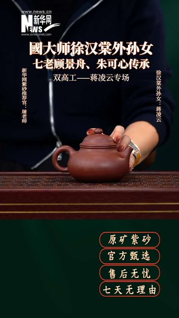 茶壶紫砂WQC桃花紫泥容天