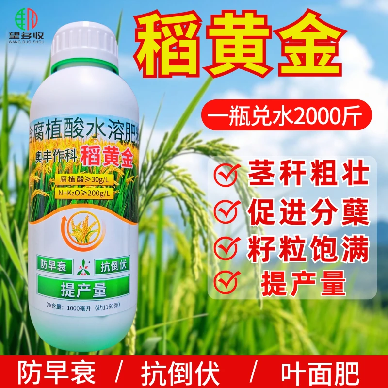 奥丰稻黄金叶面肥抗倒伏增粒重防早衰提产量1160克农用正品