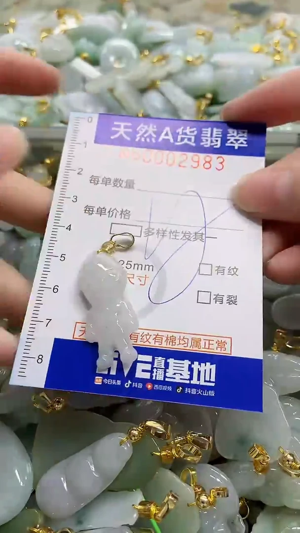 颈饰未镶嵌翡翠天然A货翡翠