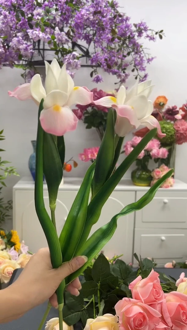 2枝粉色鸢尾花花