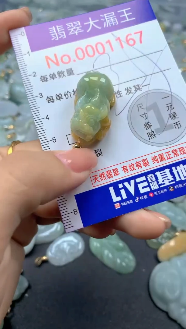 颈饰未镶嵌翡翠1167