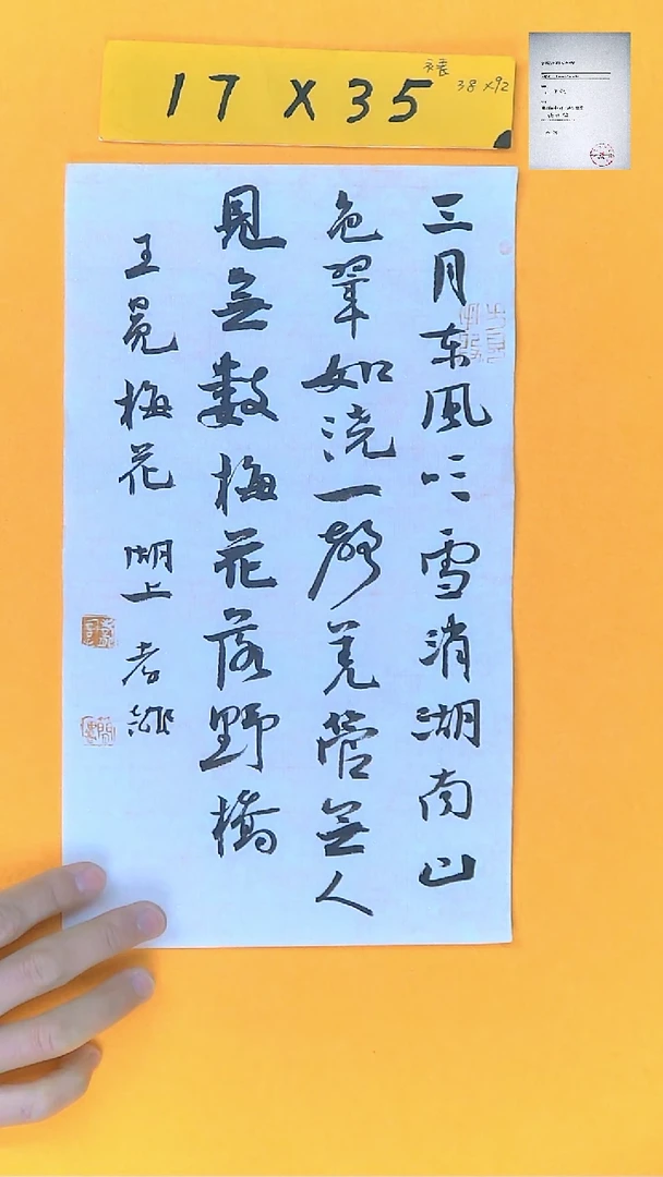 【闪购商品】书法江孝龙书法作品梅花17*35