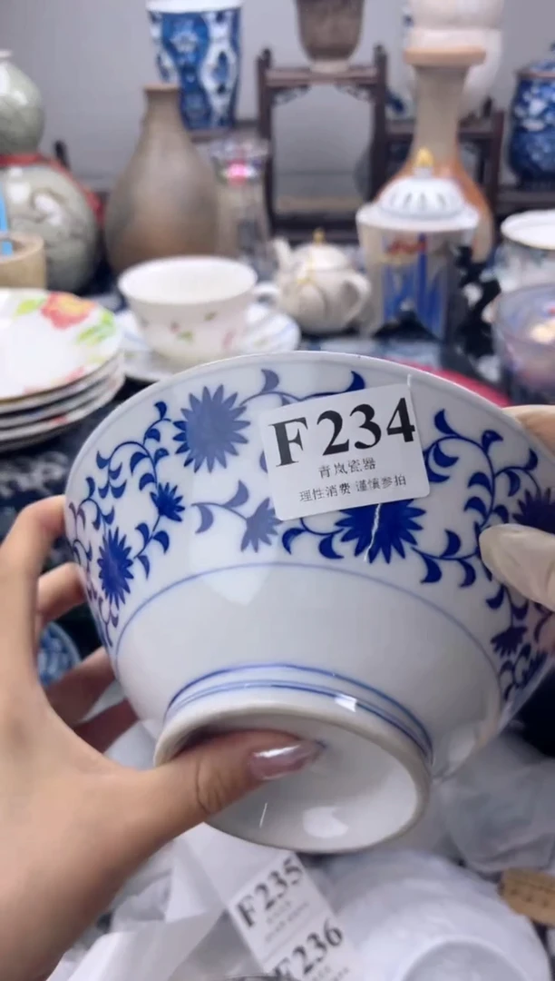 瓷片柳*柳  F234