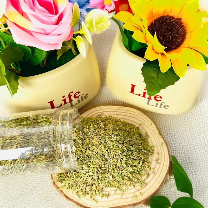 Arpa badiyan 小茴香 120克