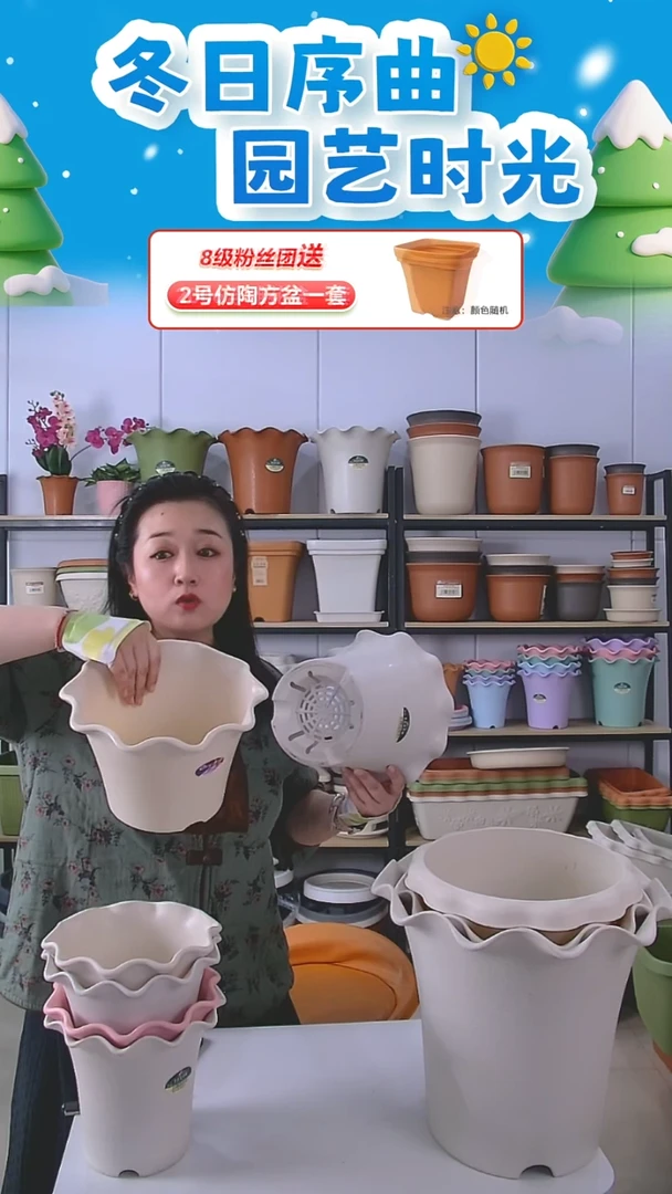 荷叶边5003型号米白色5套带托