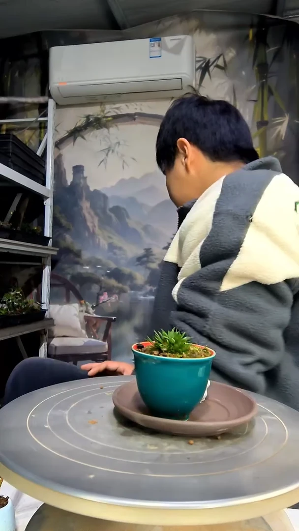 蛋***喜中青园艺一物一拍花19