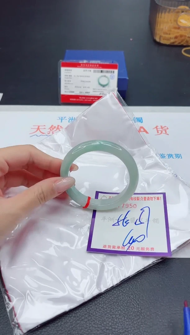 未镶嵌手镯翡翠1