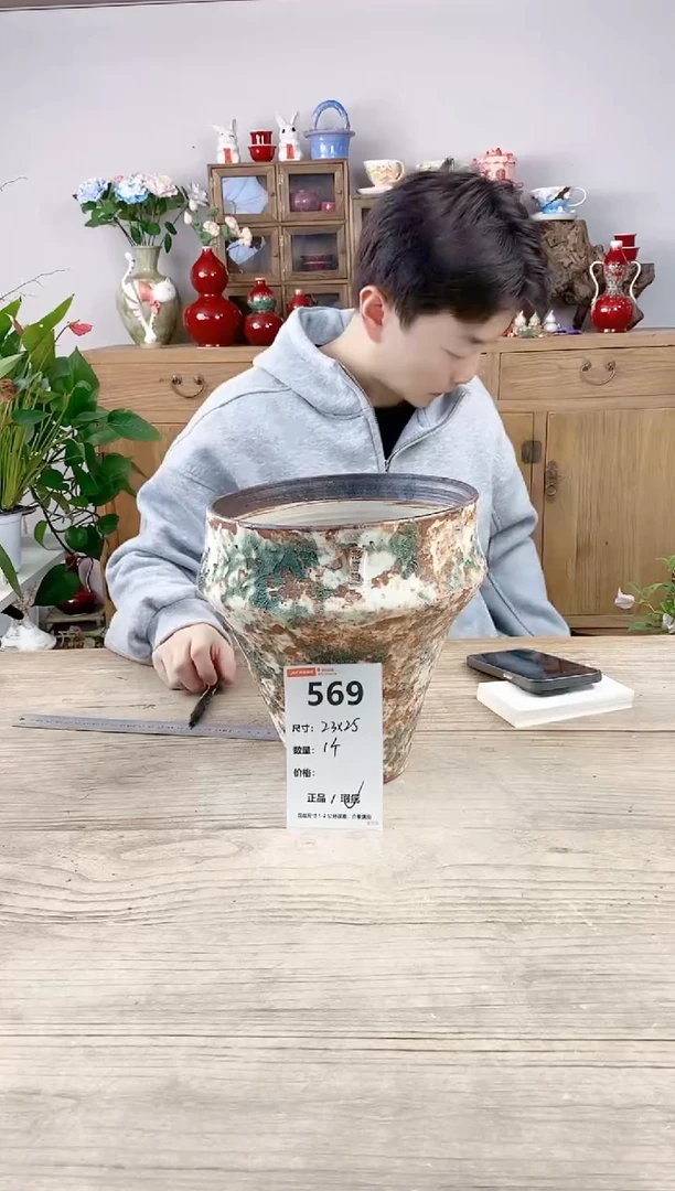 晴好园艺直播编号569