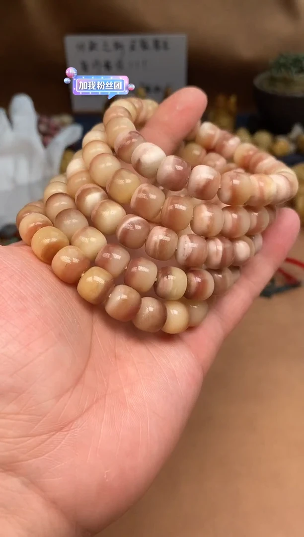 其他驼骨驼骨定向V53