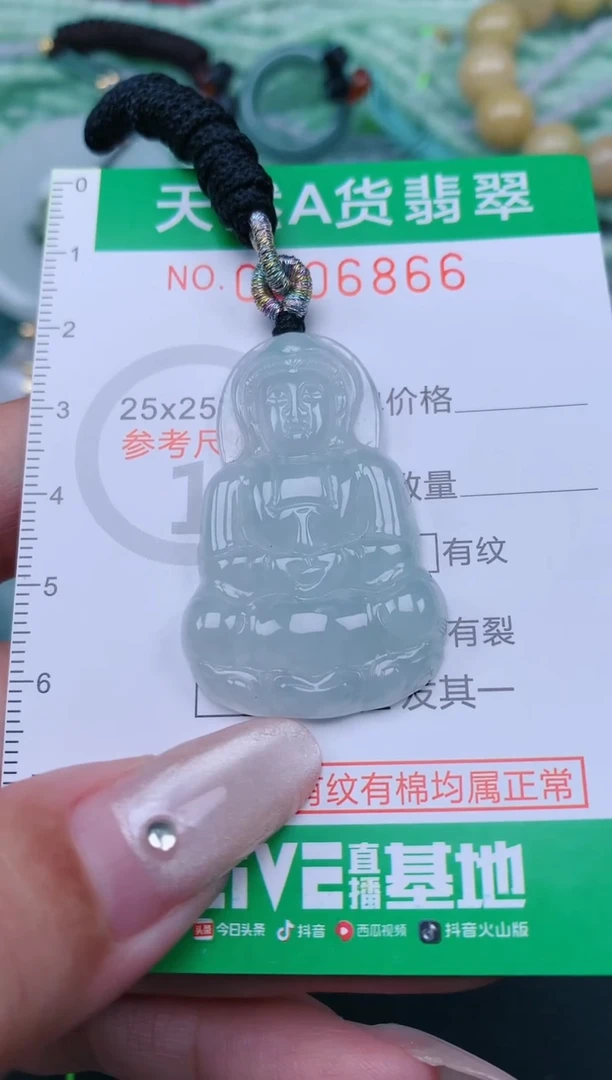 翡翠未镶嵌颈饰.0006866