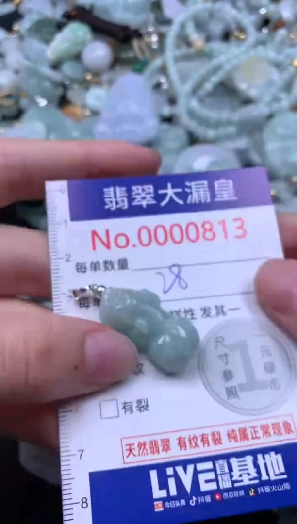 吊坠(不含链)未镶嵌翡翠813