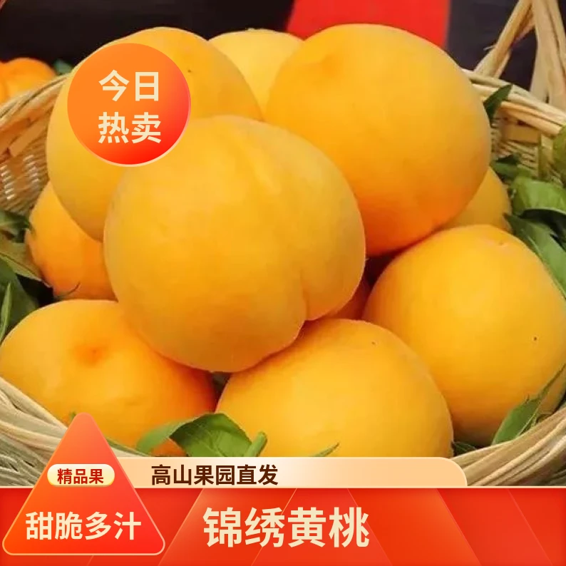 湖南怀化高山锦绣黄桃脆甜多汁安江核心产区