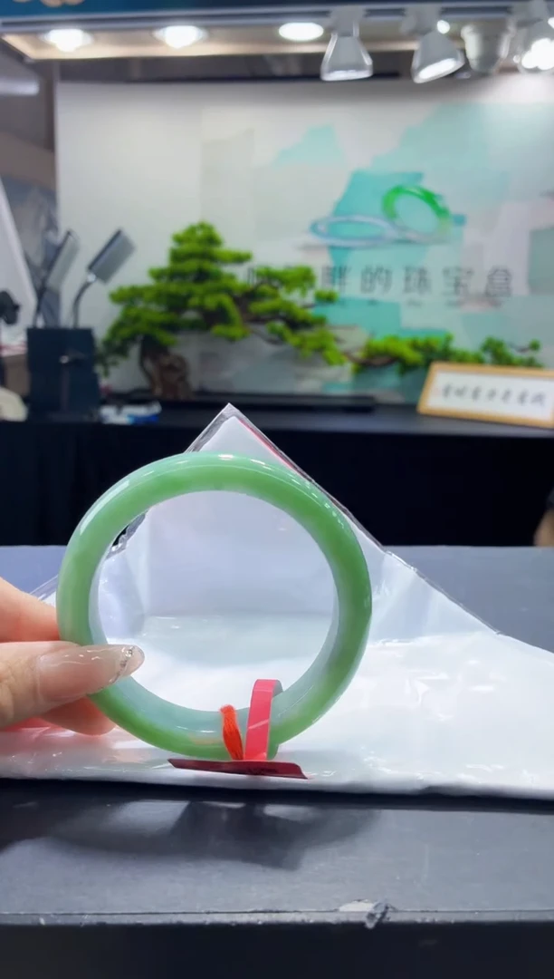未镶嵌手镯翡翠3