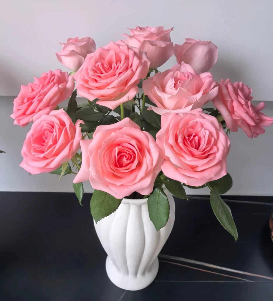 【1单包邮】戴安娜玫瑰  生活鲜花  昆明基地直发