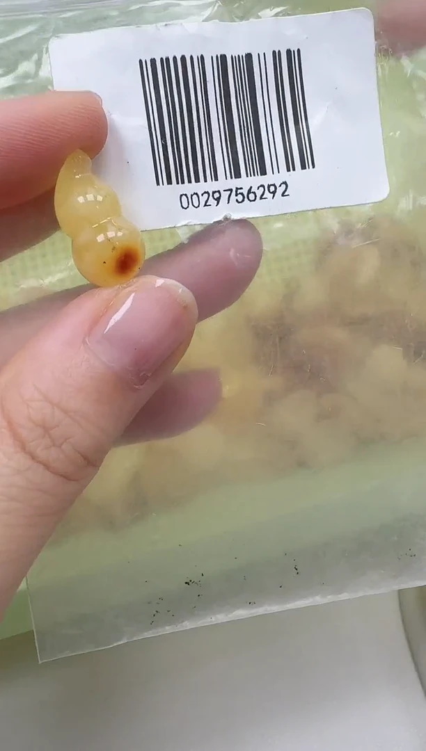 裸石琥珀未镶嵌如图
