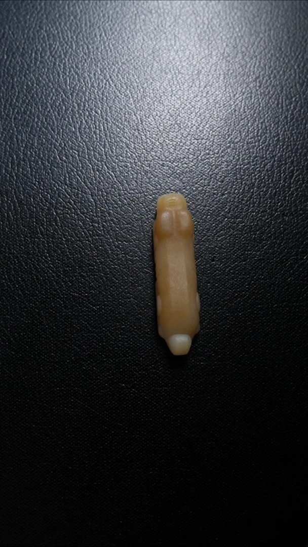 颈饰未镶嵌和田玉老虎手把件