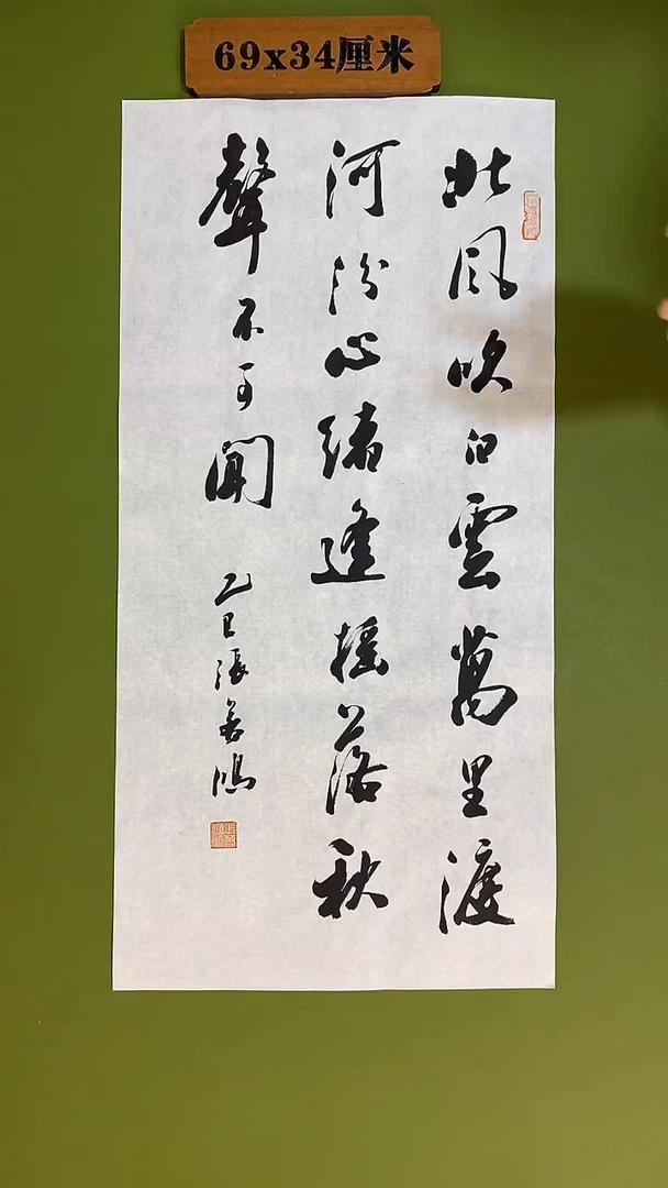 书法书法 张若鸿 尺寸69cm*34cm