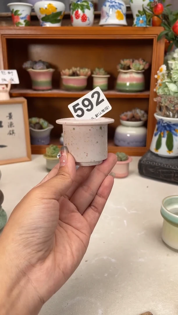 瓷片那**呀592知木小芳花盆编号