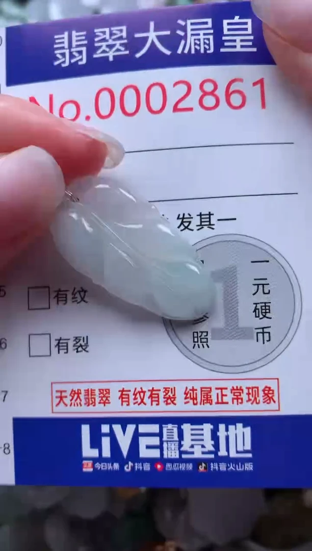 翡翠未镶嵌吊坠(不含链)2861