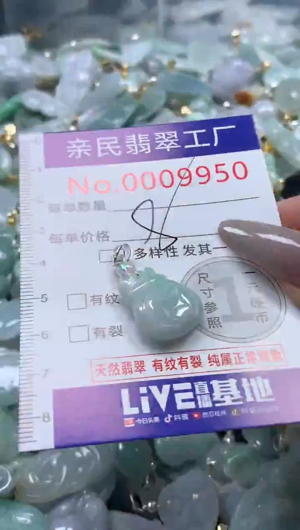 颈饰未镶嵌翡翠9950