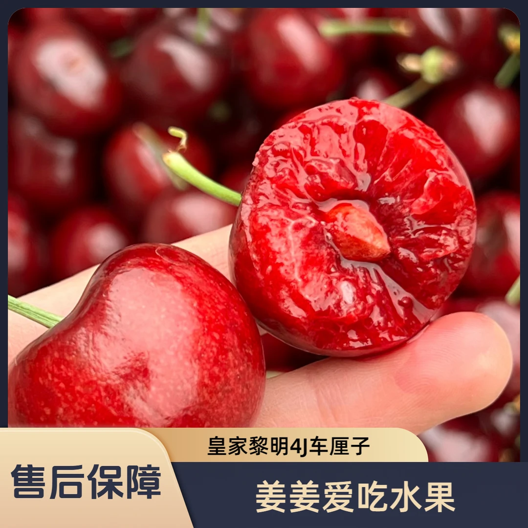 【车厘子】海运 4JJJJ 脆甜爽口【内附果径卡】