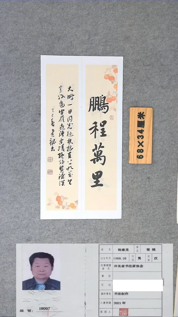 书法龙老师精品书法纯手写  湖北