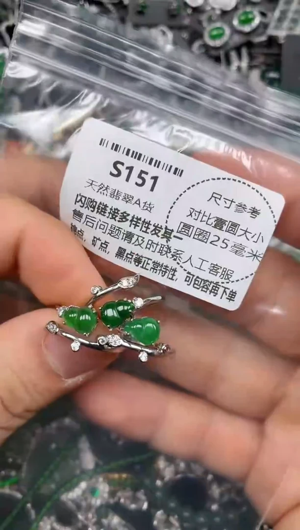 颈饰未镶嵌翡翠S151戒指 多样性发其一