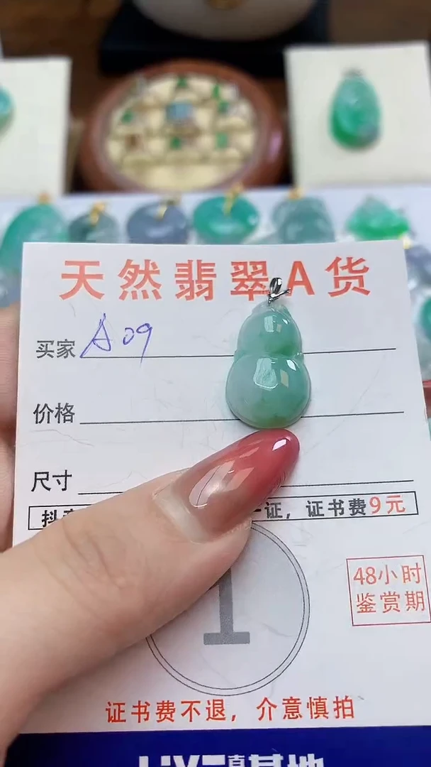 颈饰未镶嵌翡翠天然A货翡翠挂件