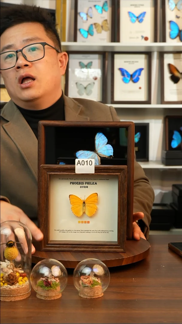 杏菲粉蝶-（6寸方黑色新款框）A010