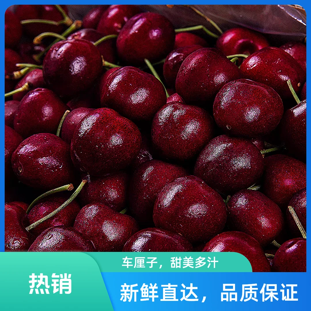智利车厘子5斤当季新鲜水果整箱3J黑珍珠大樱桃#祝你2025厘想成真#是谁还没收到车厘子圣诞花束
