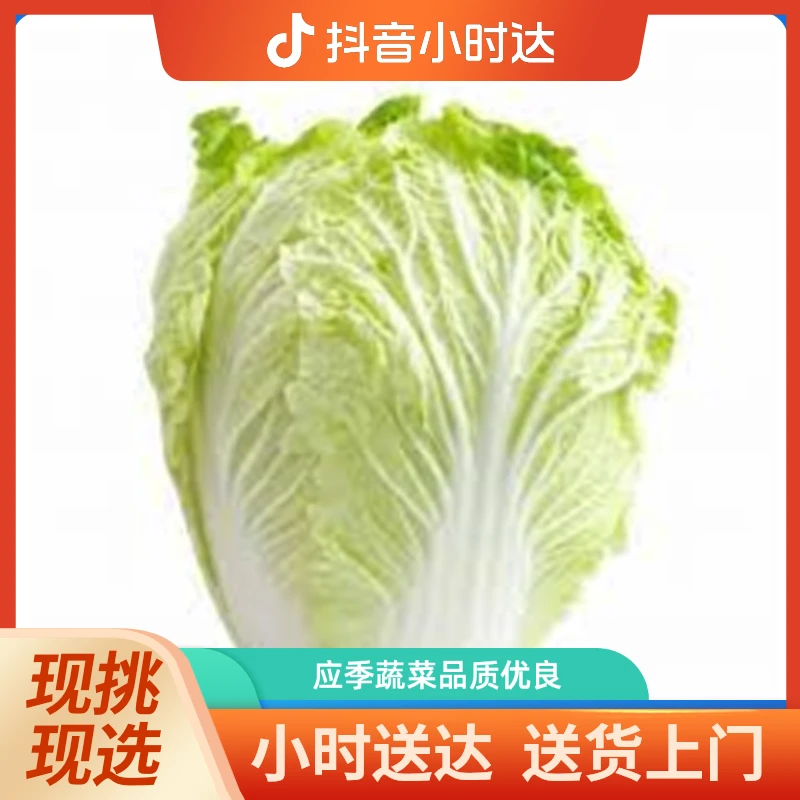 大白菜 约1000g-1500g/个