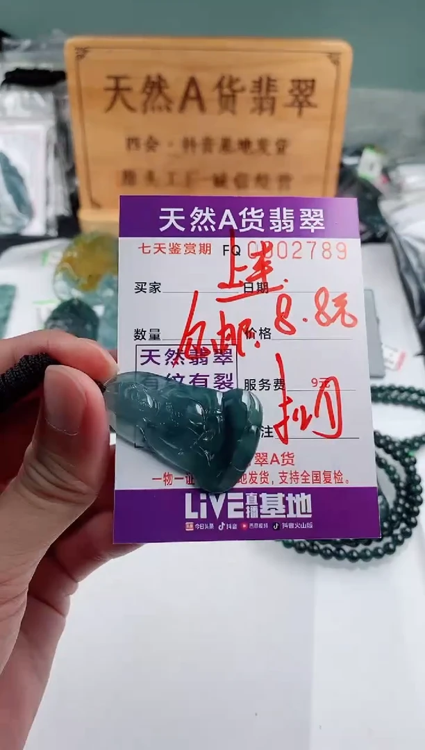 颈饰未镶嵌翡翠8.8