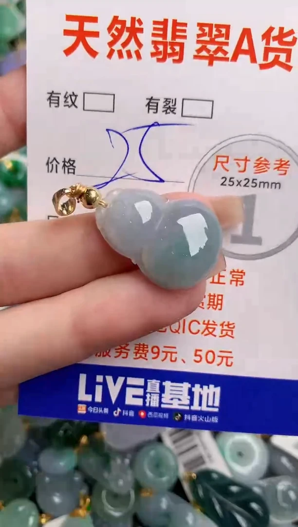 翡翠未镶嵌颈饰14003970