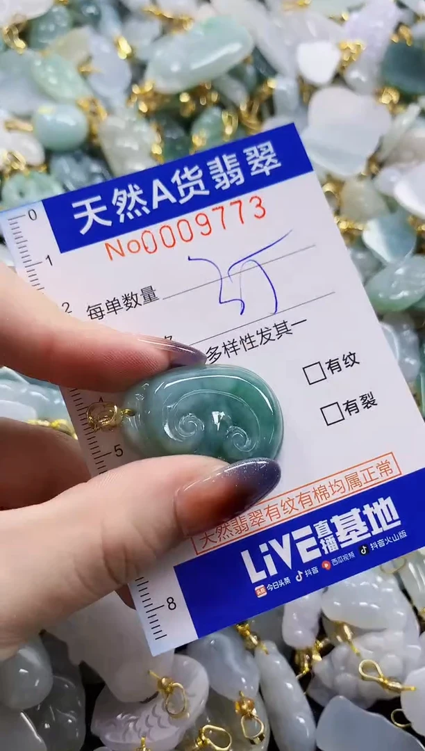 颈饰未镶嵌翡翠天然A货翡翠