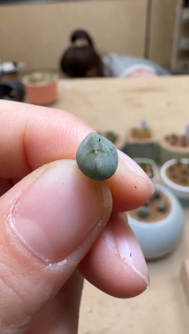 【闪购商品】1/24-131