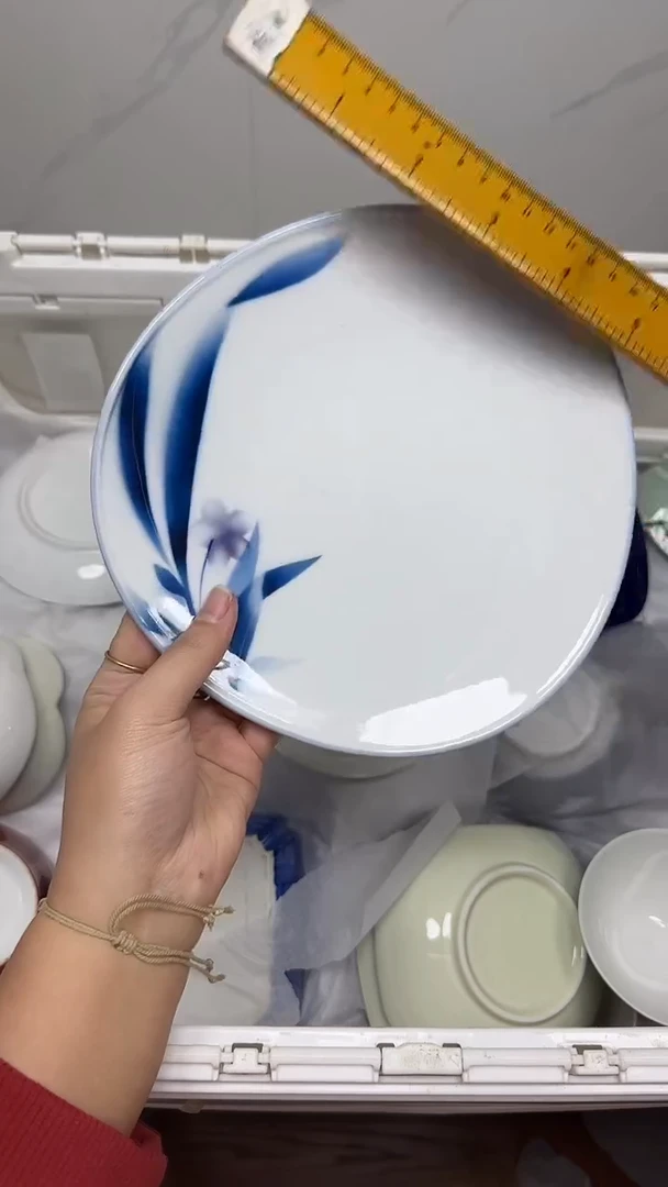 【闪购商品】742回流瓷器默认微瑕，18.8包邮