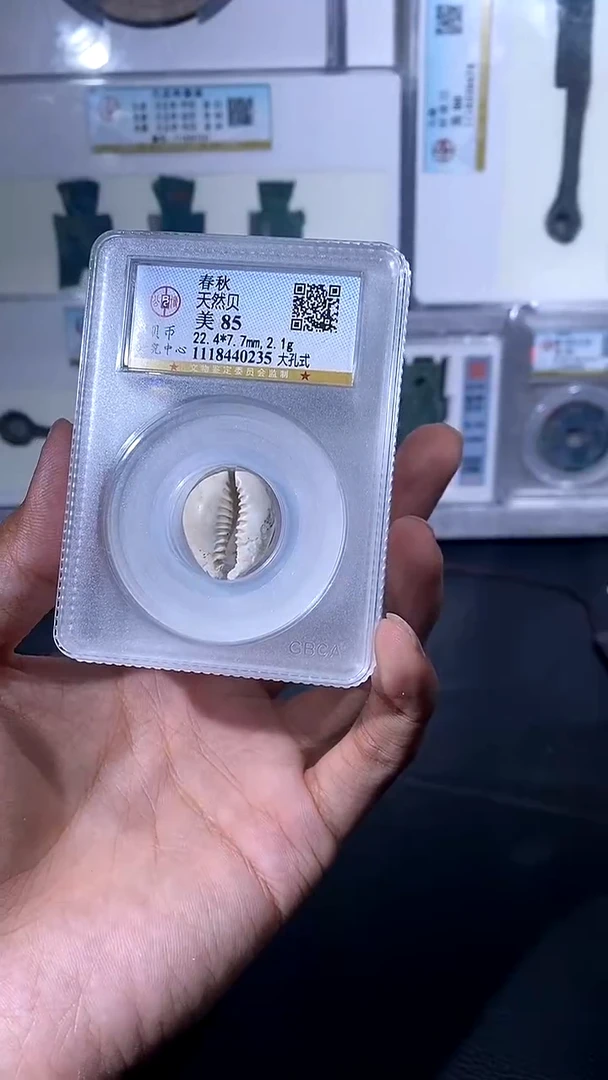 【闪购商品】铜琪珍 贝币贝币一枚