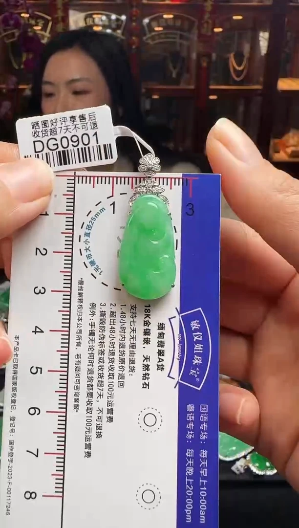【闪购商品】翡翠颈饰18K金镶嵌DG0901冰绿如意