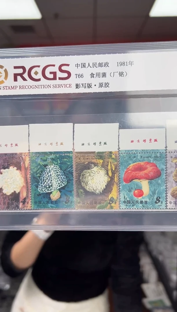 用****2T66 食用菌 套票 邮票 RCGS评级 原胶 厂铭