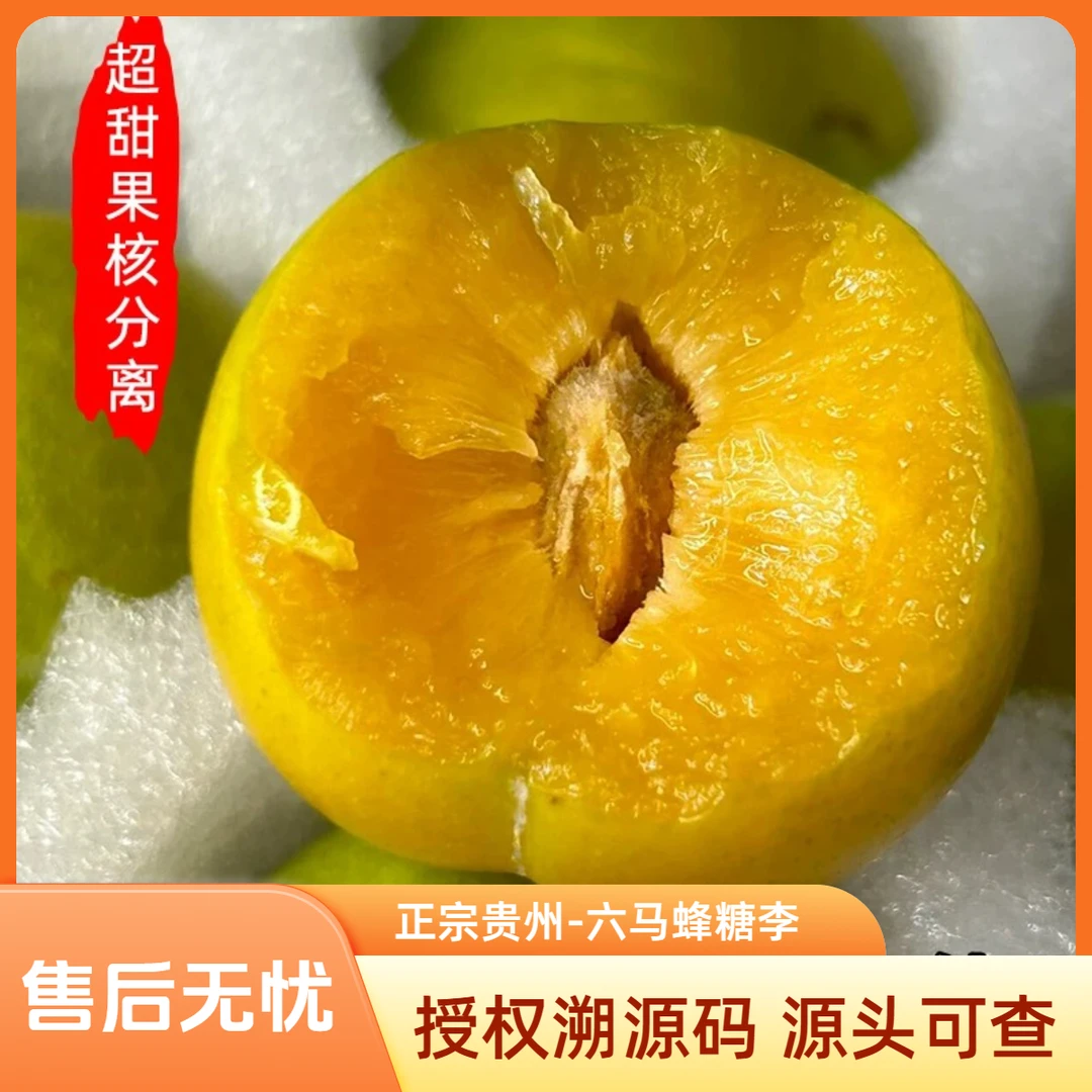 贵州正宗六马蜂糖李高山种植自家果园新鲜采摘脆甜当季水果礼盒装