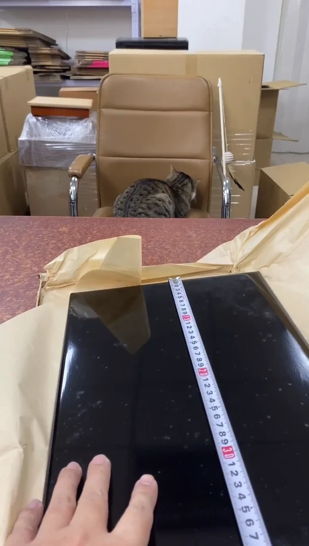 瓷片650小林轩欢迎您