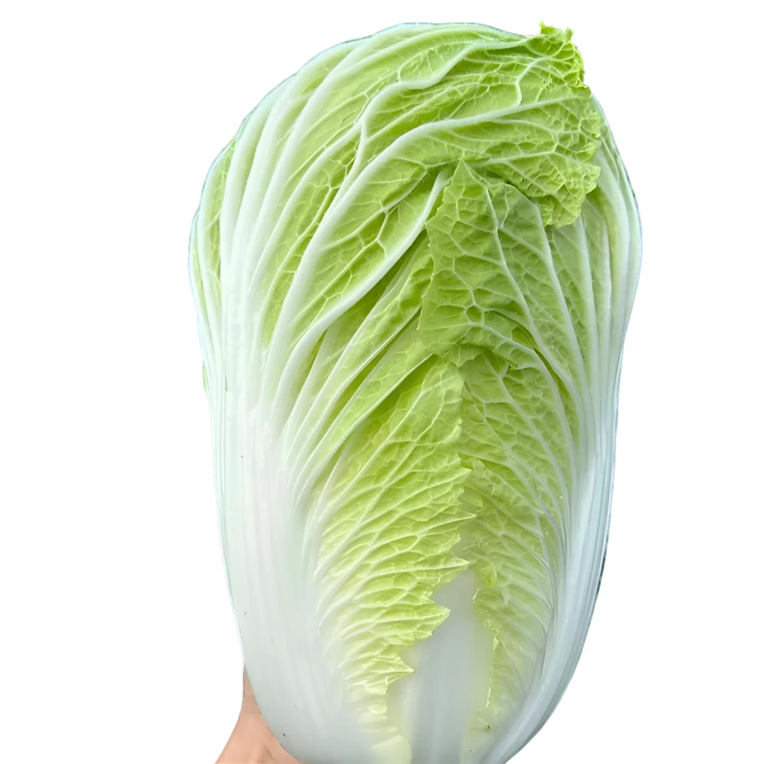【小时达】新鲜大白菜三颗10~15斤福利品
