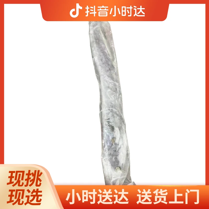 冷冻带鱼 1.2-1.5斤（冷冻）带鱼同城送