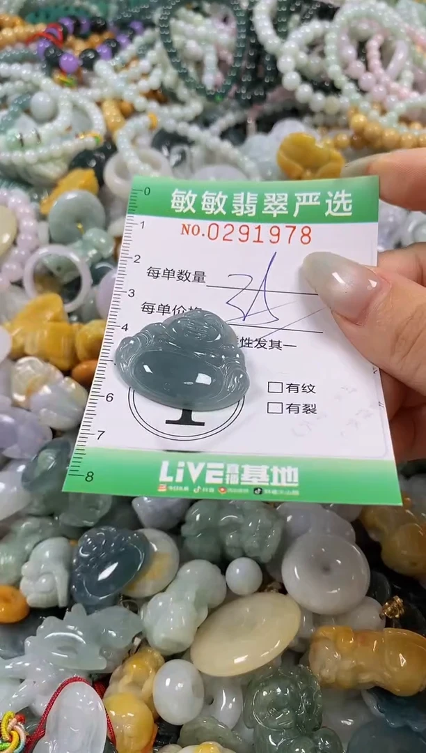 翡翠未镶嵌颈饰闪购0291978多样性发其一