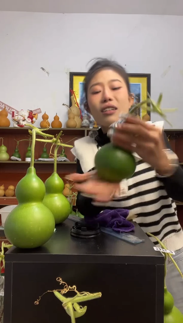 2****星966天然葫芦摆件 一物一拍龙头不保售后