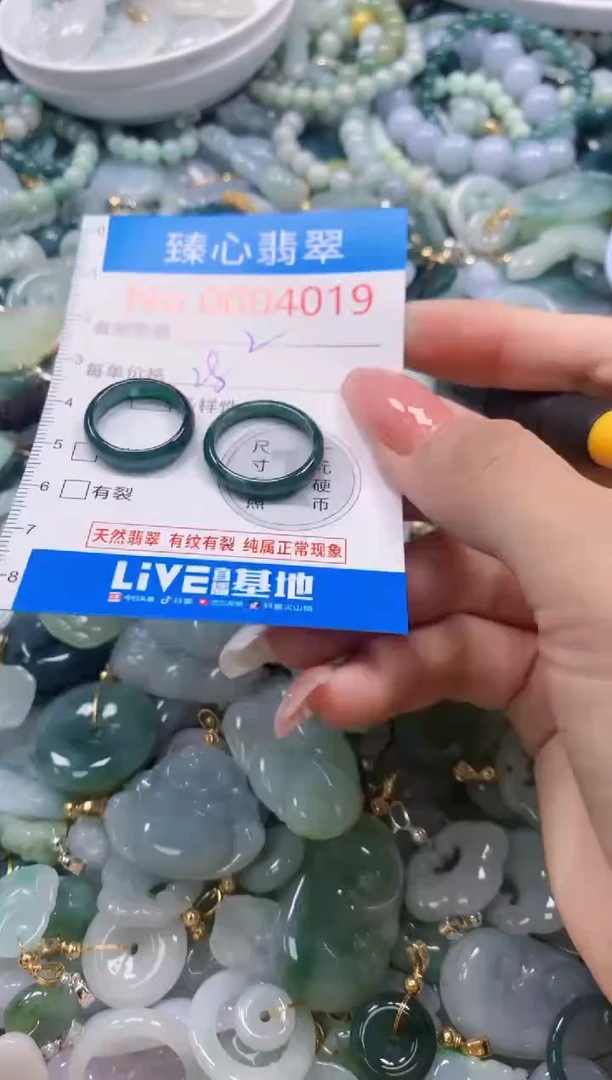 翡翠未镶嵌颈饰4019