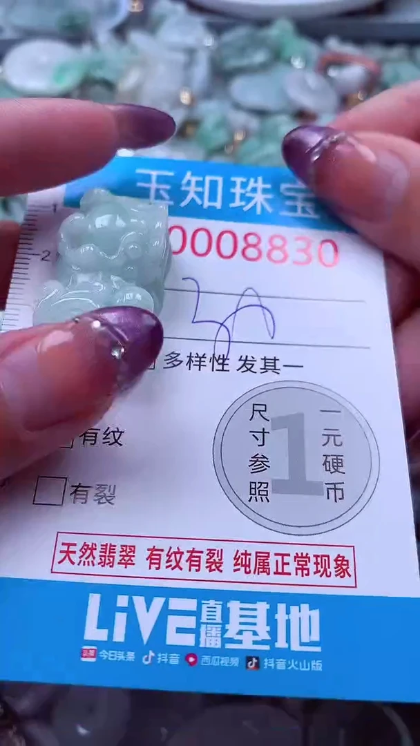 翡翠未镶嵌吊坠(不含链)8830