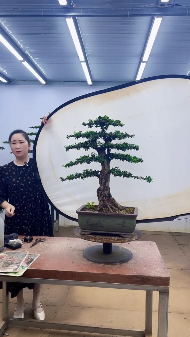 无花朵一物一拍，所见即所得