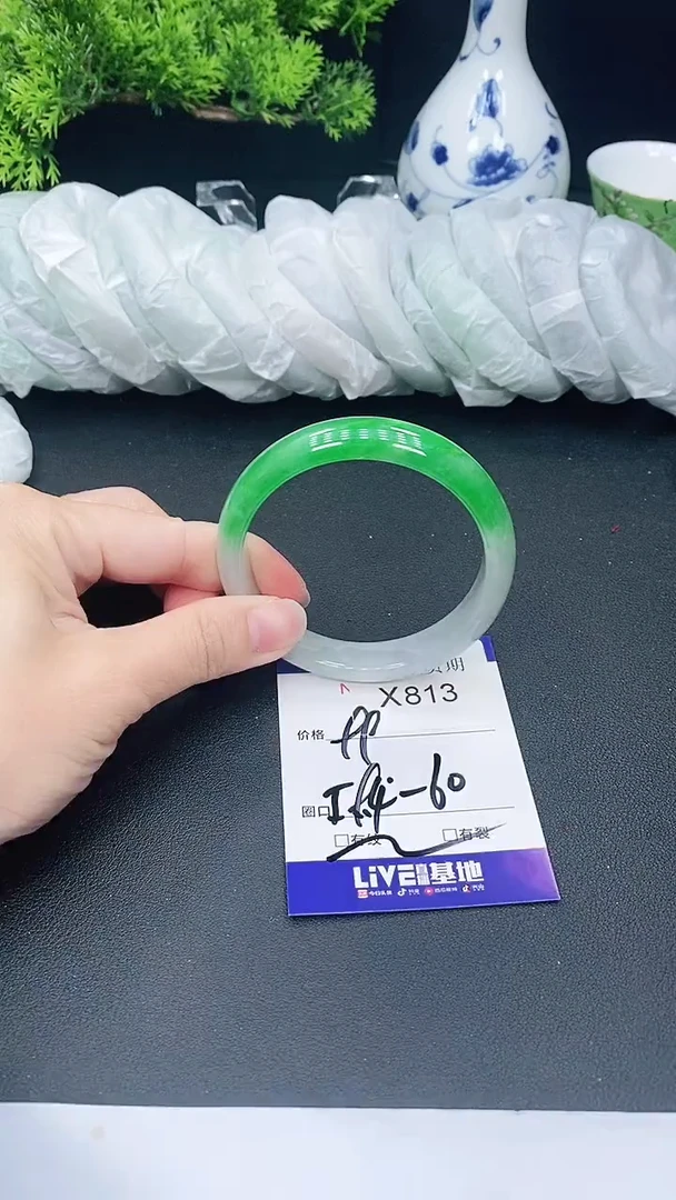 未镶嵌手镯翡翠813