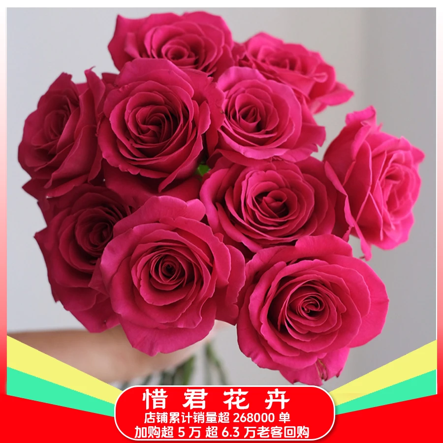 【弗洛伊德】拍二单升级发顺丰/京东 家用鲜花直播间现场直播卖花